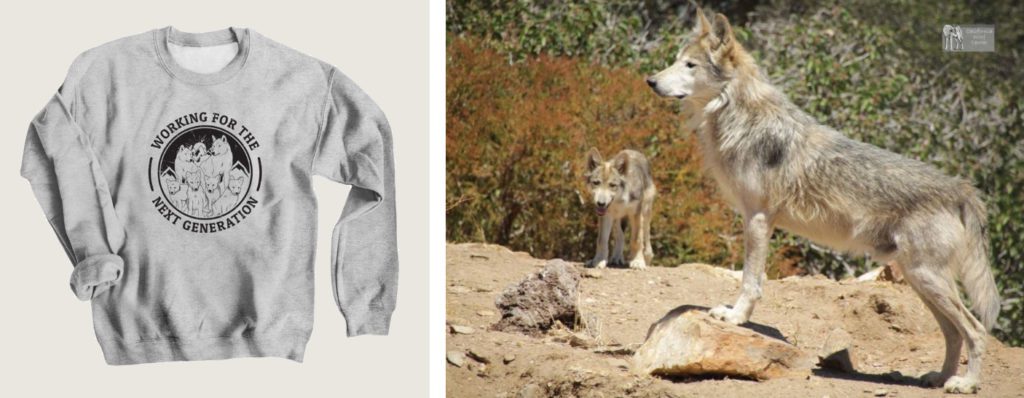 California Wolf Center Fundraiser