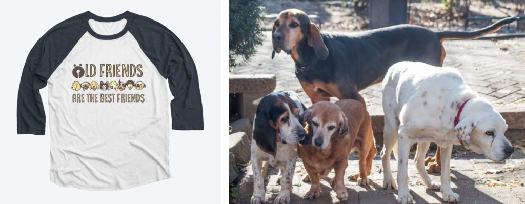 Old Friends Senior Dog Sanctuary Fundraiser