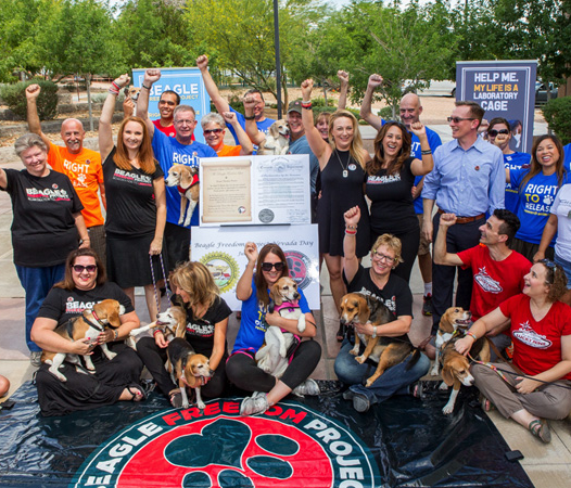 Advocating and celebrating success in Nevada for the Beagle Freedom Bill, a legislative push to enact laws that would ensure research facilities can give dogs and cats used in laboratory testing a chance at a life after research.