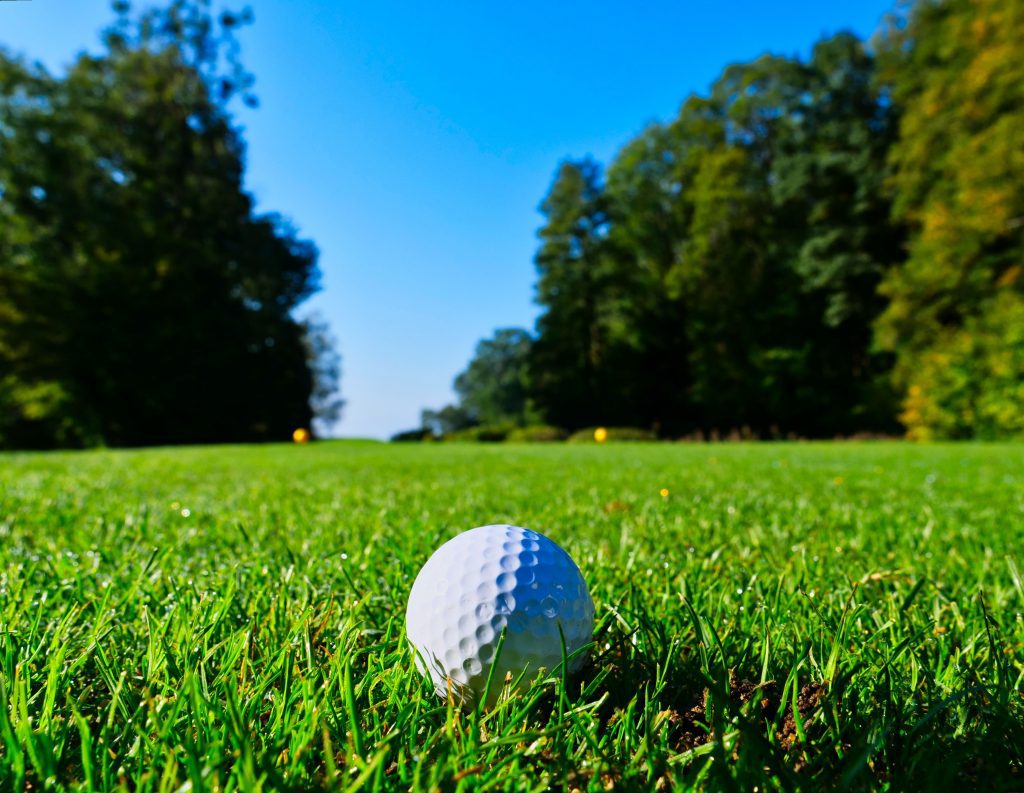 Host a golf tournament to raise money for your fraternity or sorority.