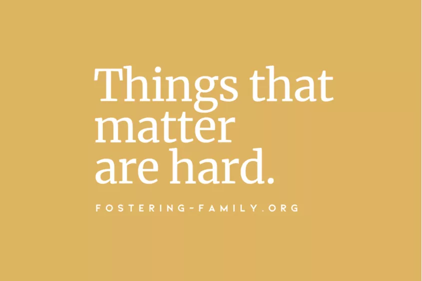 Things That Matter Are Hard adoption quote