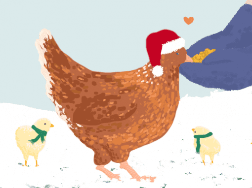 Gifts that give back to animals hero image