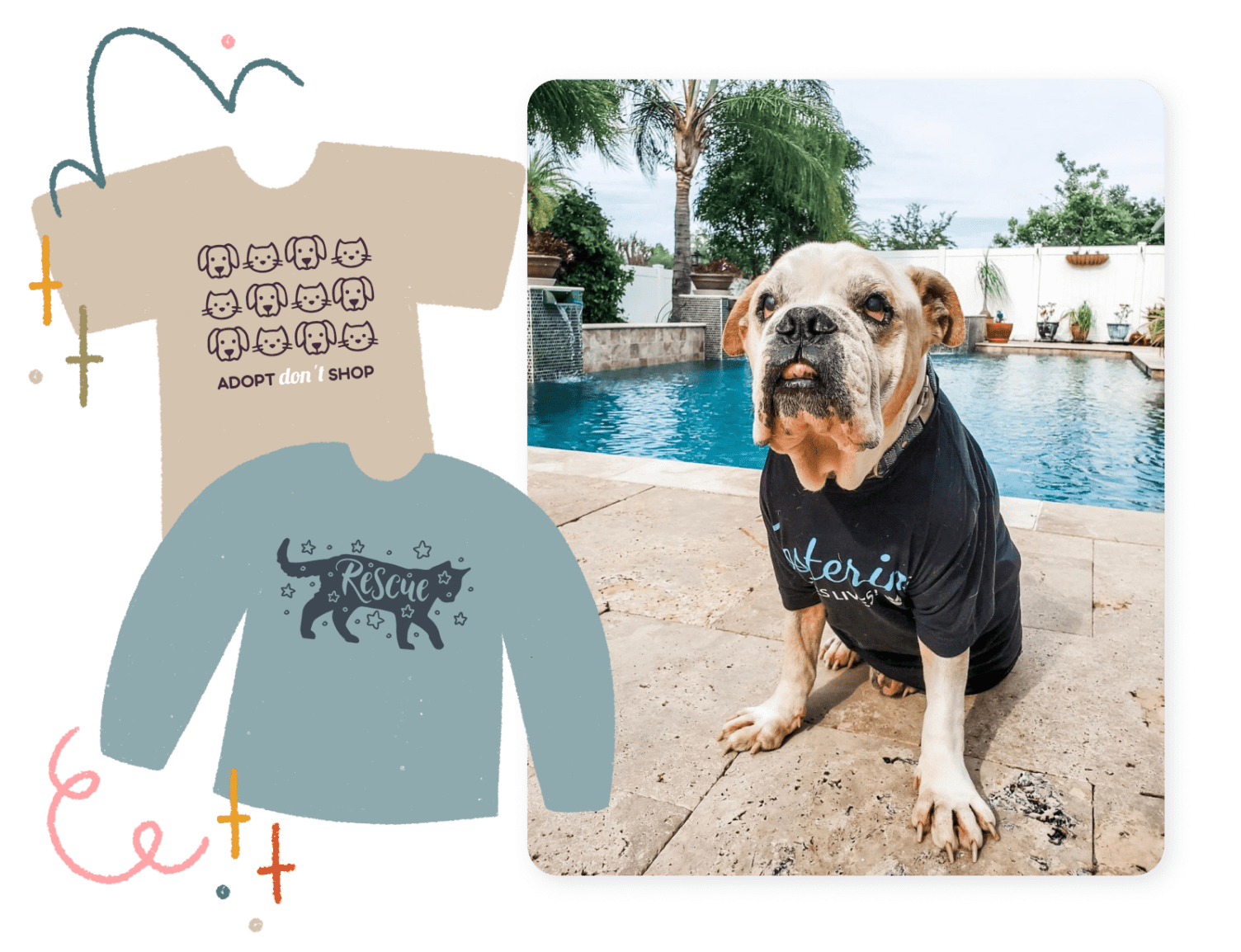 20 Animal Shelter Fundraising Ideas